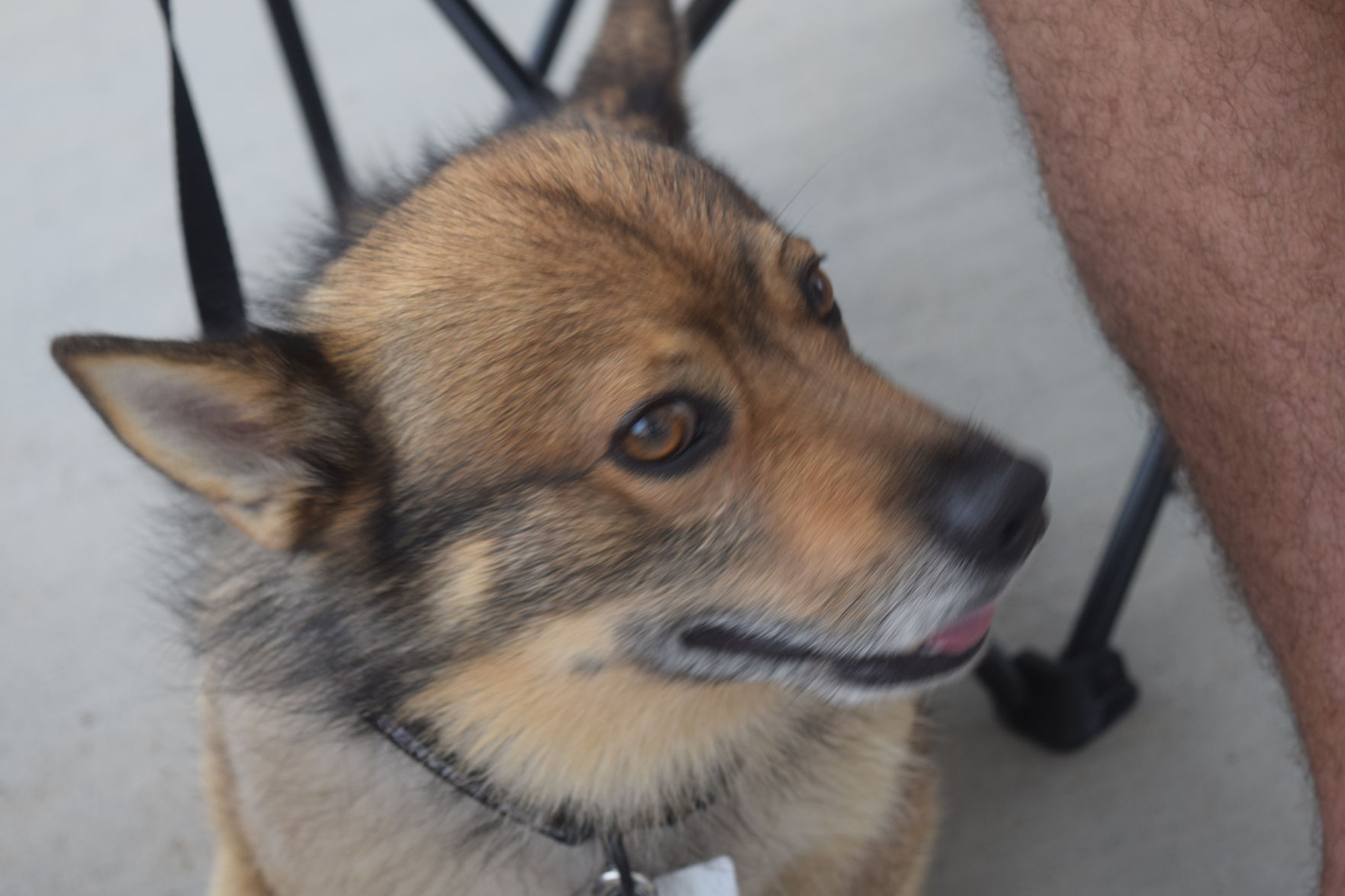 DSC_0034.JPG
